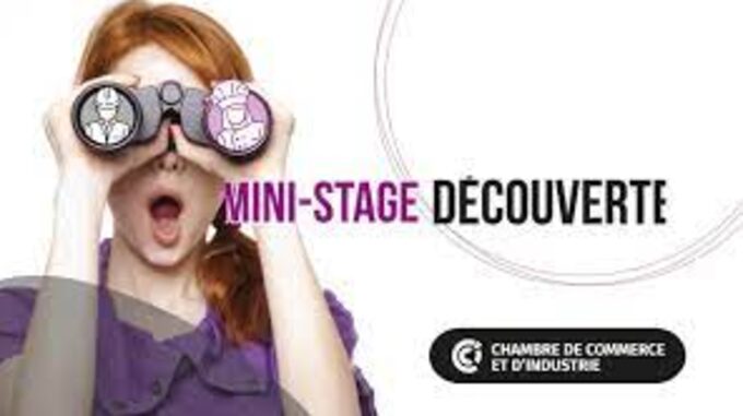 comment faire un mini stage ?