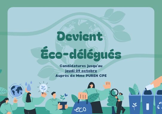 Conseil de la vie collégienne.jpg